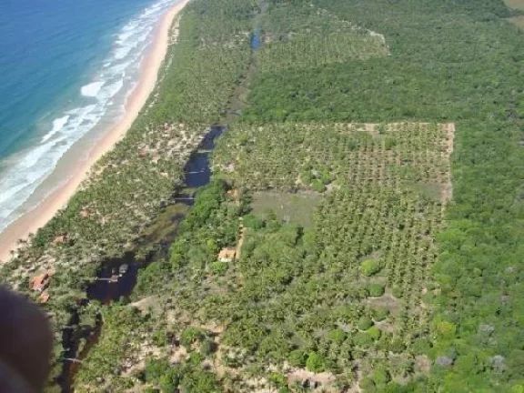 Foto do imóvel ÁREA FRENTE MAR - ALGODÕES