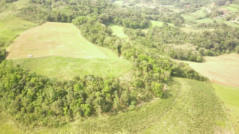 Imagem Área Agrícola para Venda em Concórdia, Rural