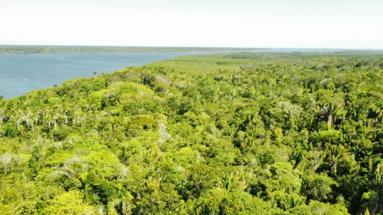 Imagem Barra de Sirinhaem
