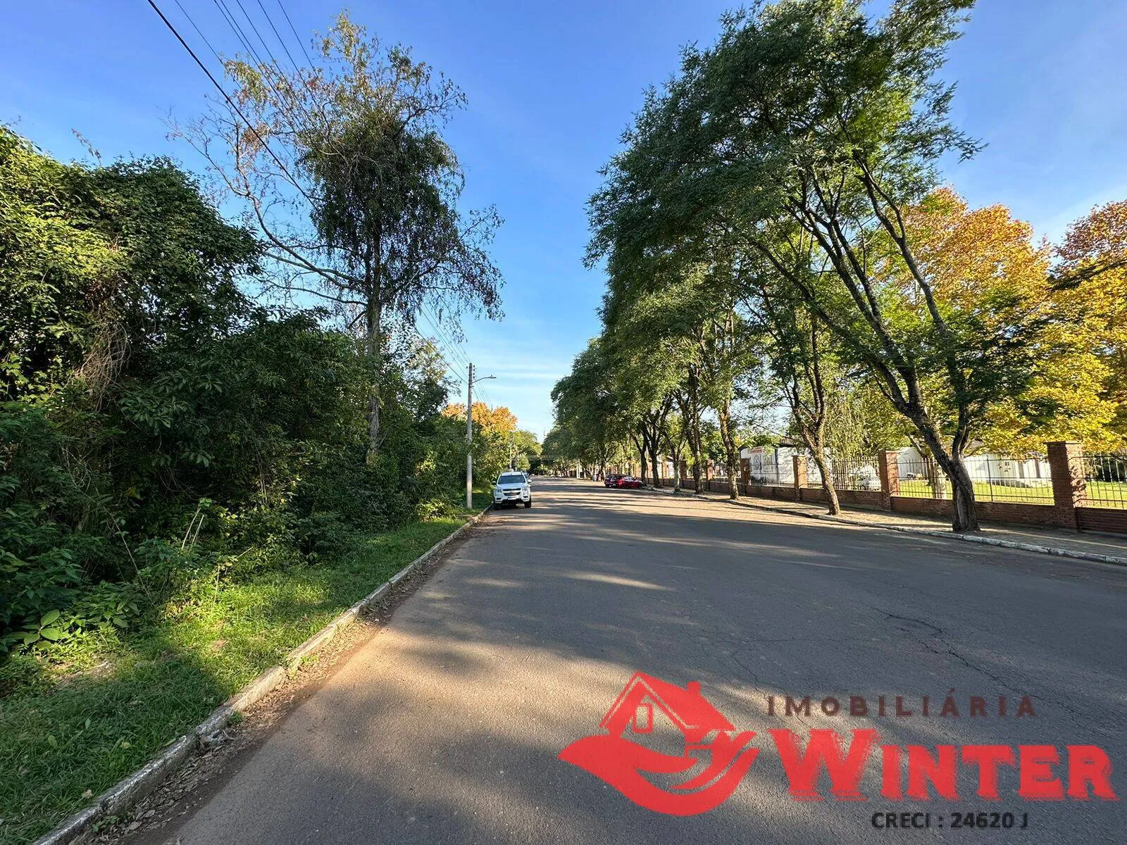 Imagem Lote de frente ao Parque Municipal.