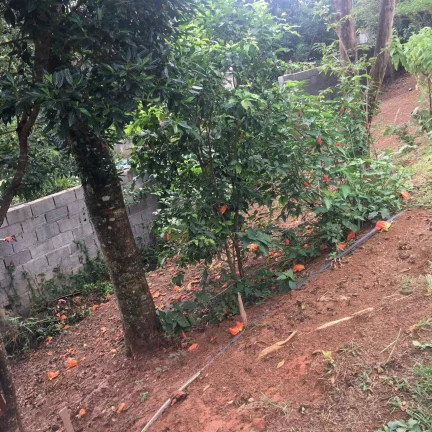 Imagem Chácara Piracaia 4.300 m² à 200 metros do asfalto!!