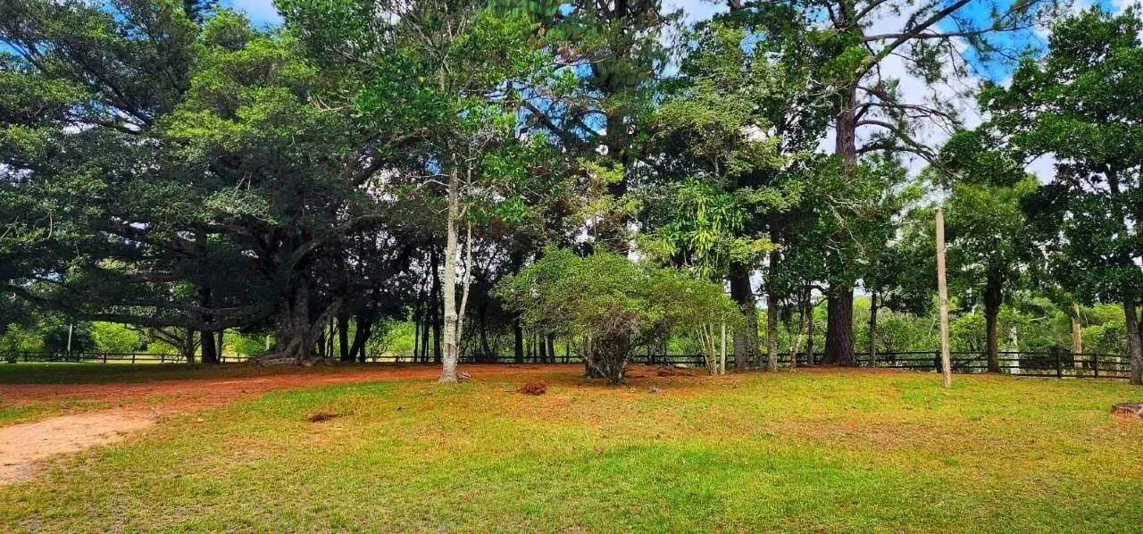Imagem Sítio de 8 hectares com infraestrutura completa próximo ao Centro de Viamão!