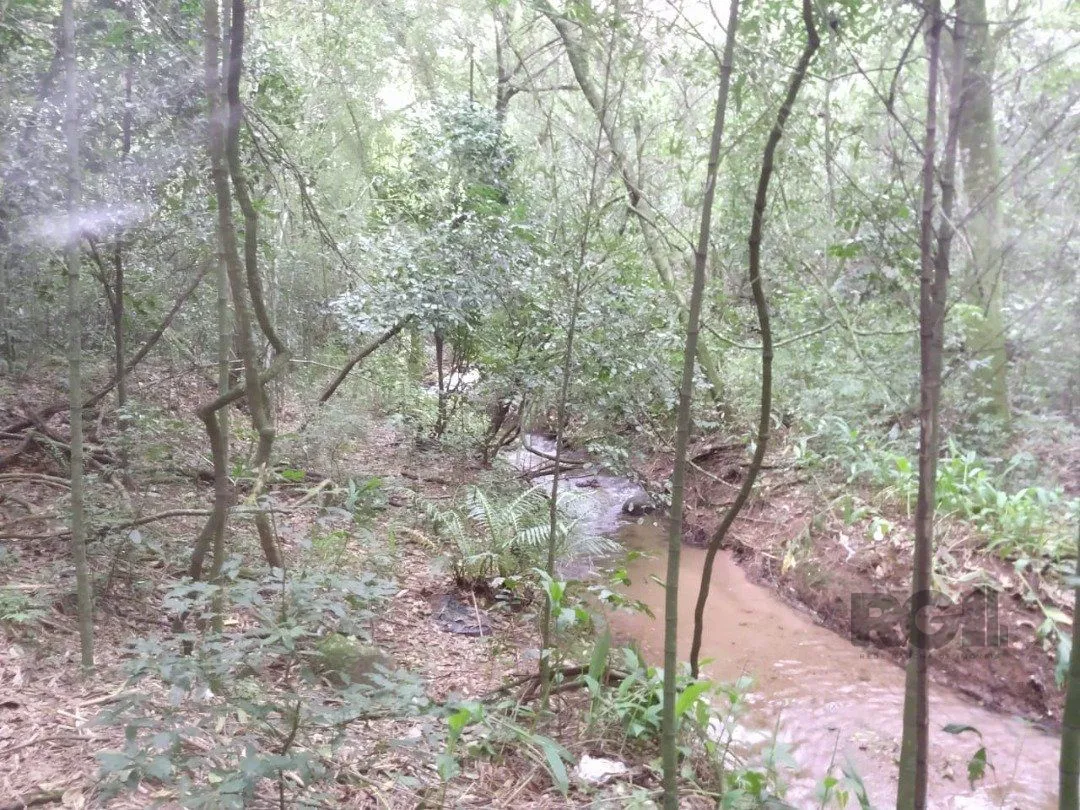 Imagem Area 6,69ha | Bairro Belem Velho
