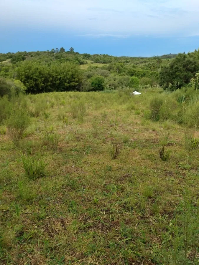 Imagem Sítio para Venda em Piratini, zona rural, 1 dormitório, 1 banheiro