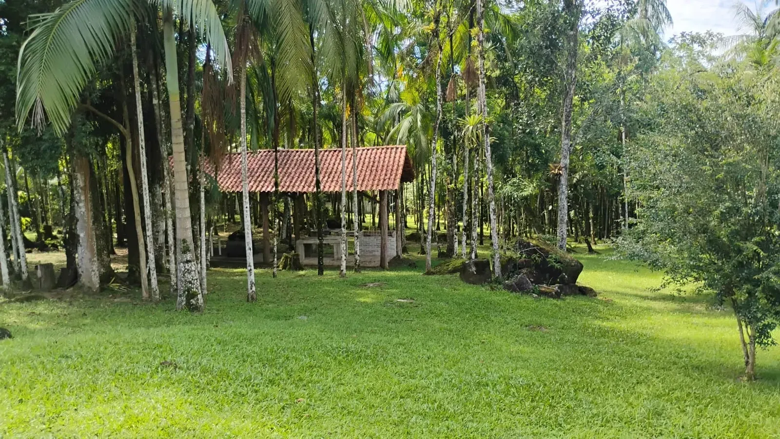 Imagem Chácara com 5 Quartos à Venda, 80.910,95 m² em Morretes - Morretes