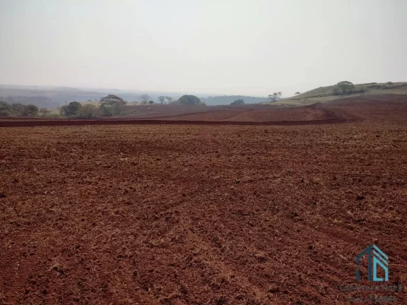 Imagem Sítio 30 alqueires extra imperdível - Oportunidade Única! em Cornélio Procópio PR