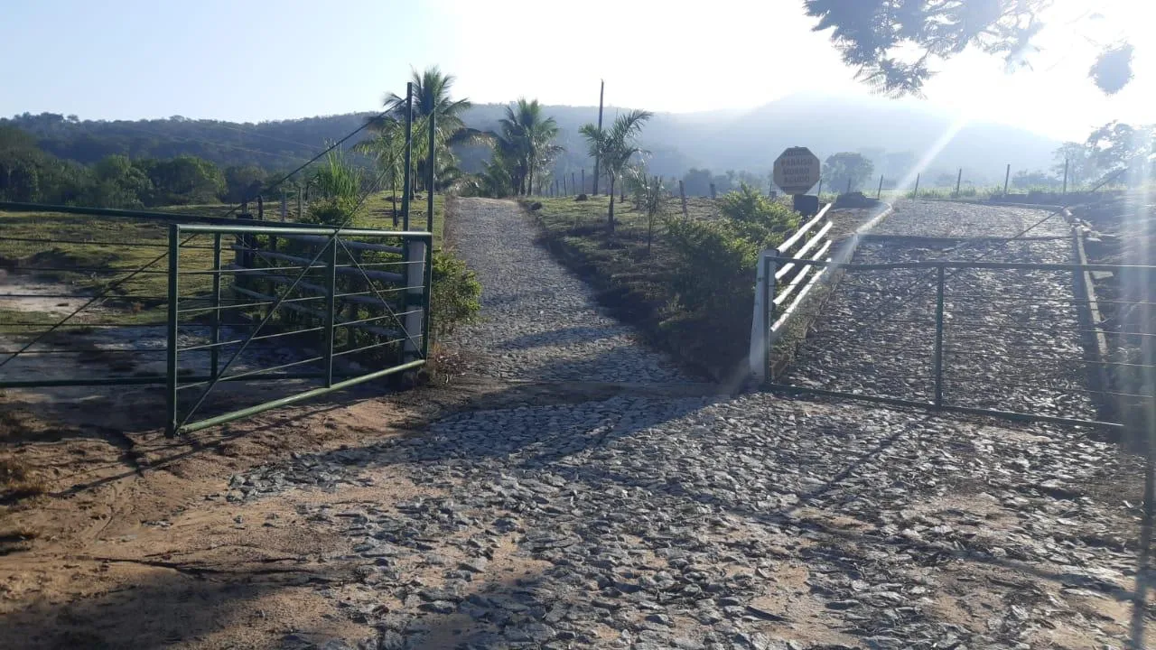 Imagem FAZENDA À VENDA - SÃO GONÇALO DO PARÁ 120 hectares de terra
