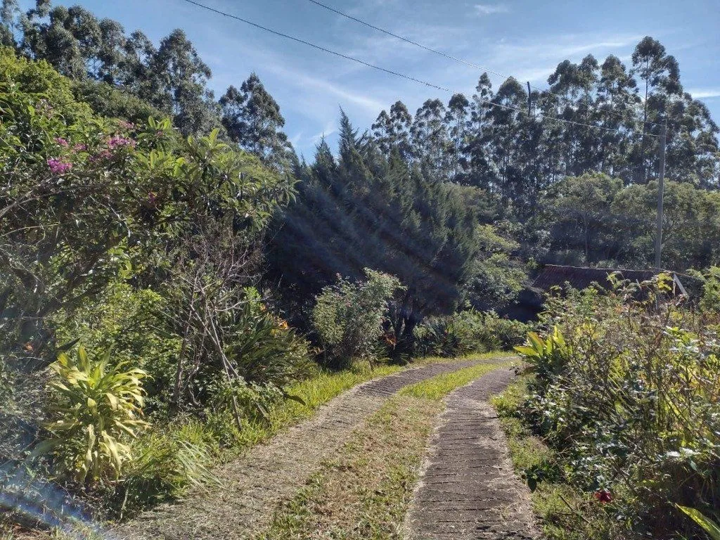 Imagem Sítio em Albatroz
