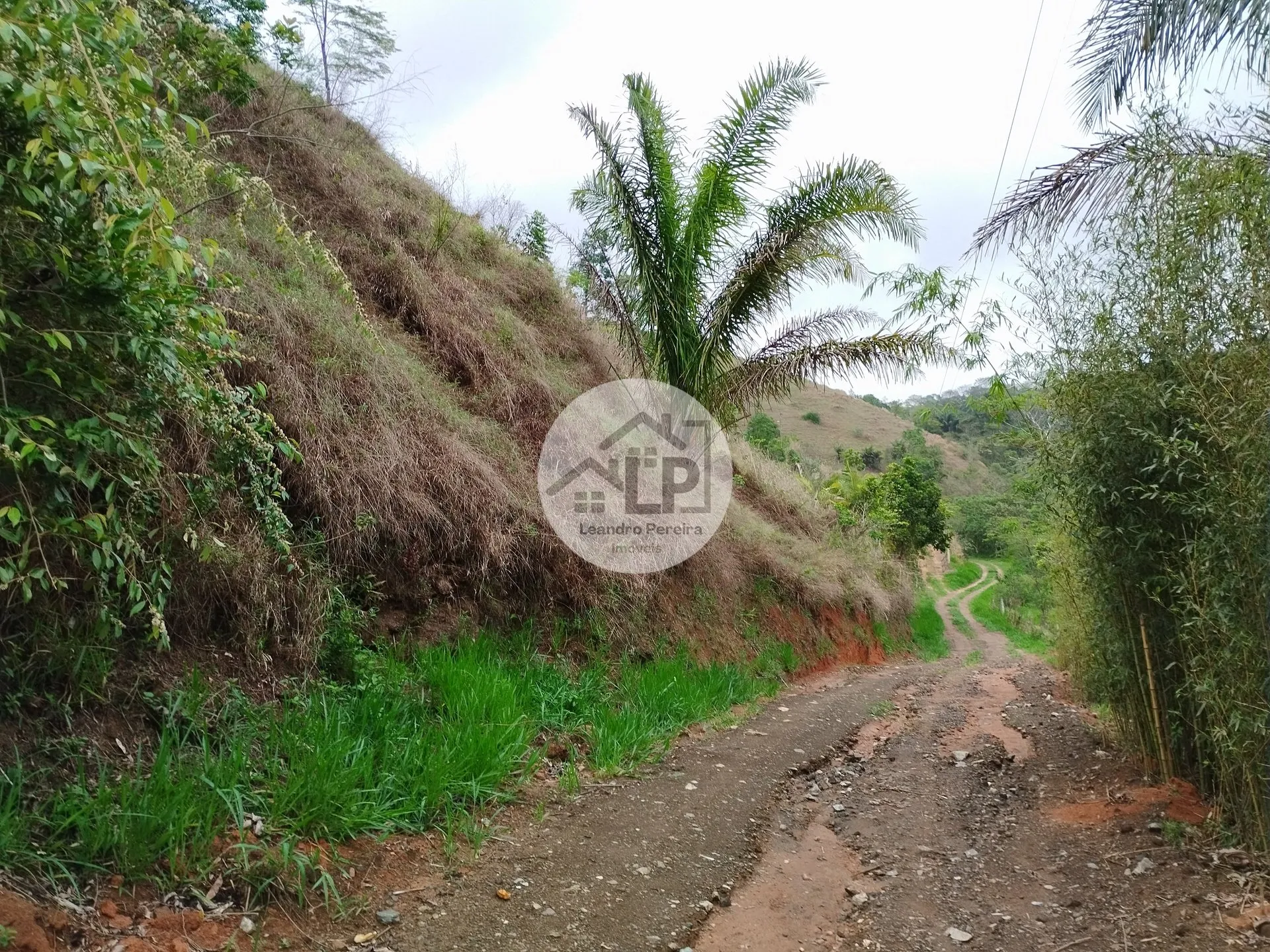 Imagem Lote/Terreno de 1560m² no bairro Caiçara, em Piraí