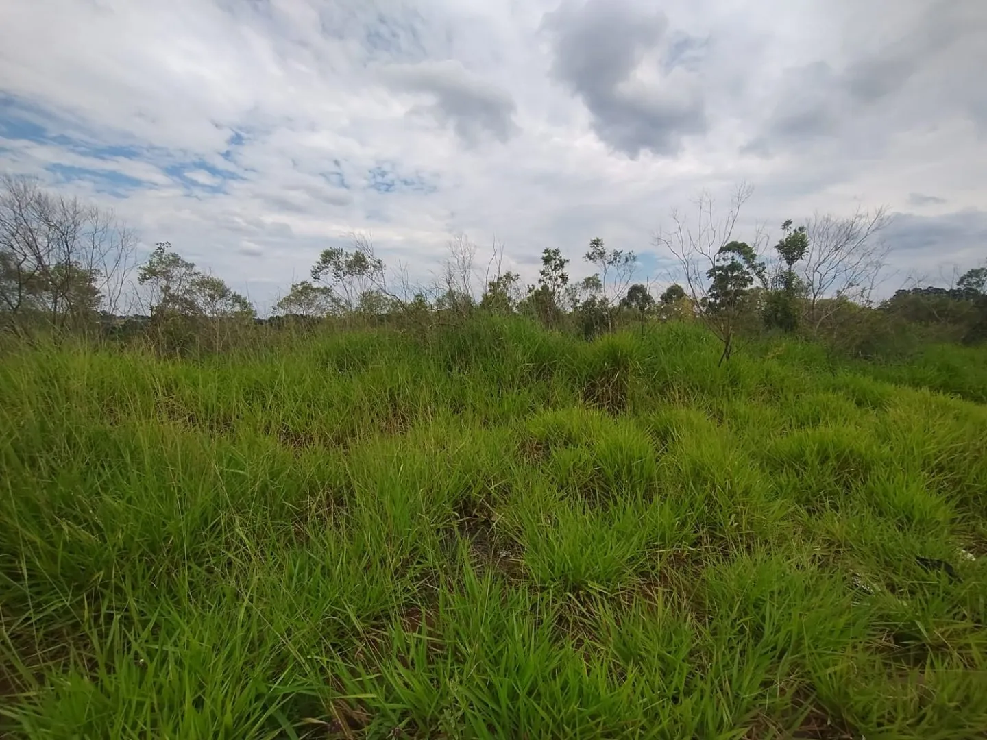 Imagem Oportunidade: Terreno em Viamão, JARDIM VIAMAR - Venda 363m²