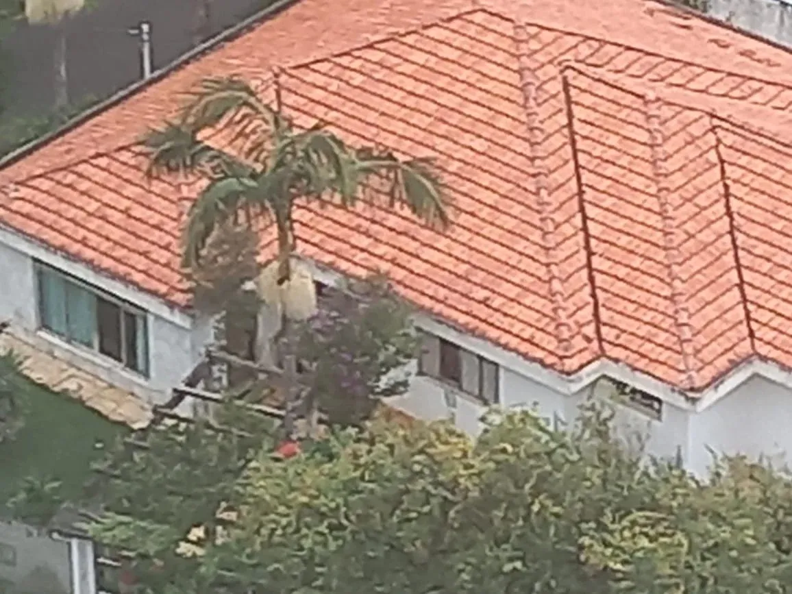 Imagem Casa para Venda em São Paulo, Pinheiros, 4 dormitórios, 4 suítes, 5 banheiros, 4 vagas