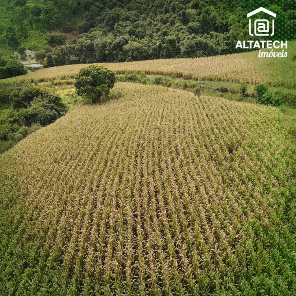 Imagem Fazenda 0 ha à venda em Roseira, Bandeira do Sul