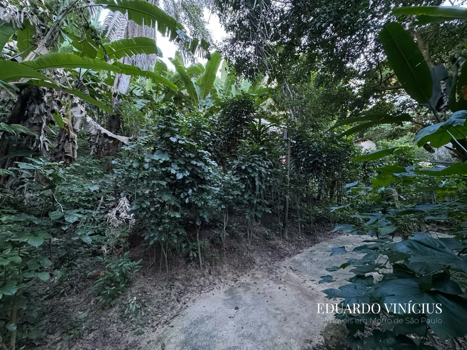 Imagem Vista Bela - Terreno com 560m² À Venda no Condomínio Vista Bela em Morro de São Paulo