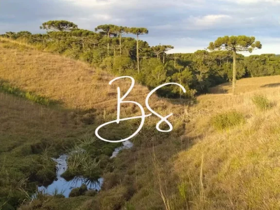 Imagem AREA RURAL em SÃO FRANCISCO DE PAULA - RS, São Francisco de Paula