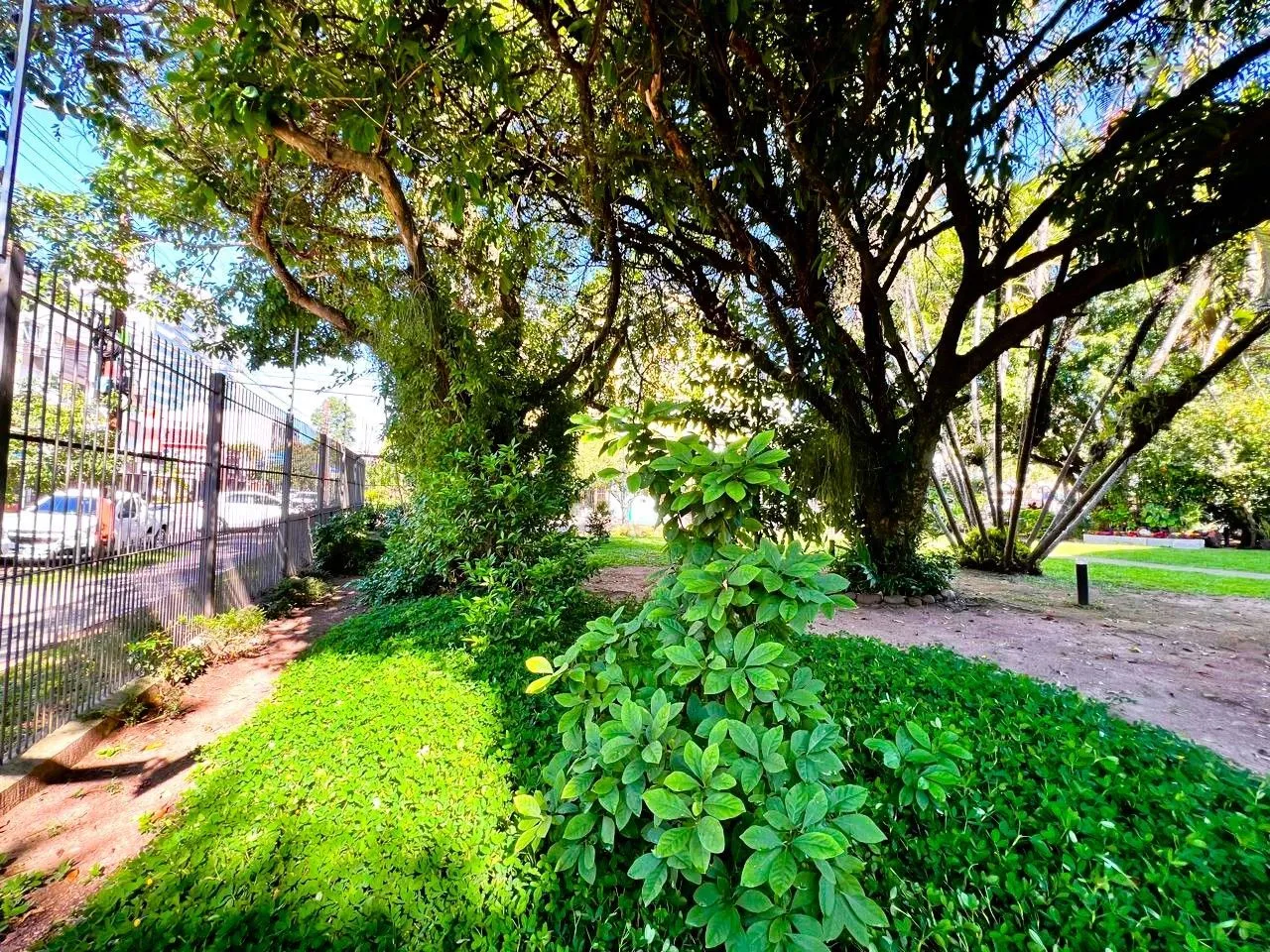Imagem Apartamento 2 dormitórios no Menino Deus