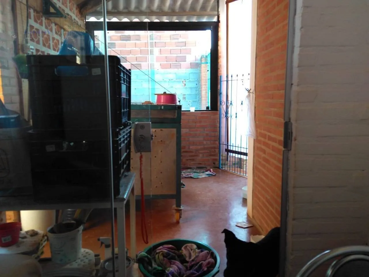 Imagem Casa com Grande Terreno e Potencial de Investimento