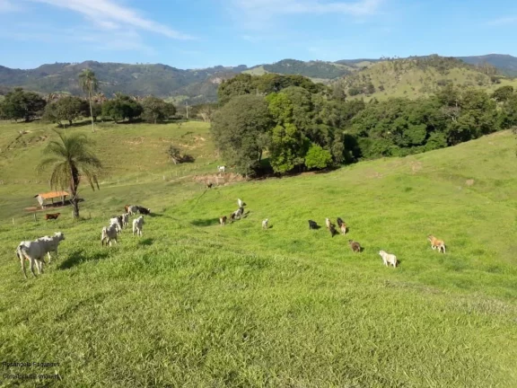 Imagem FAZENDA RURAL em SÃO JOÃO DA BOA VISTA - SP, CENTRO