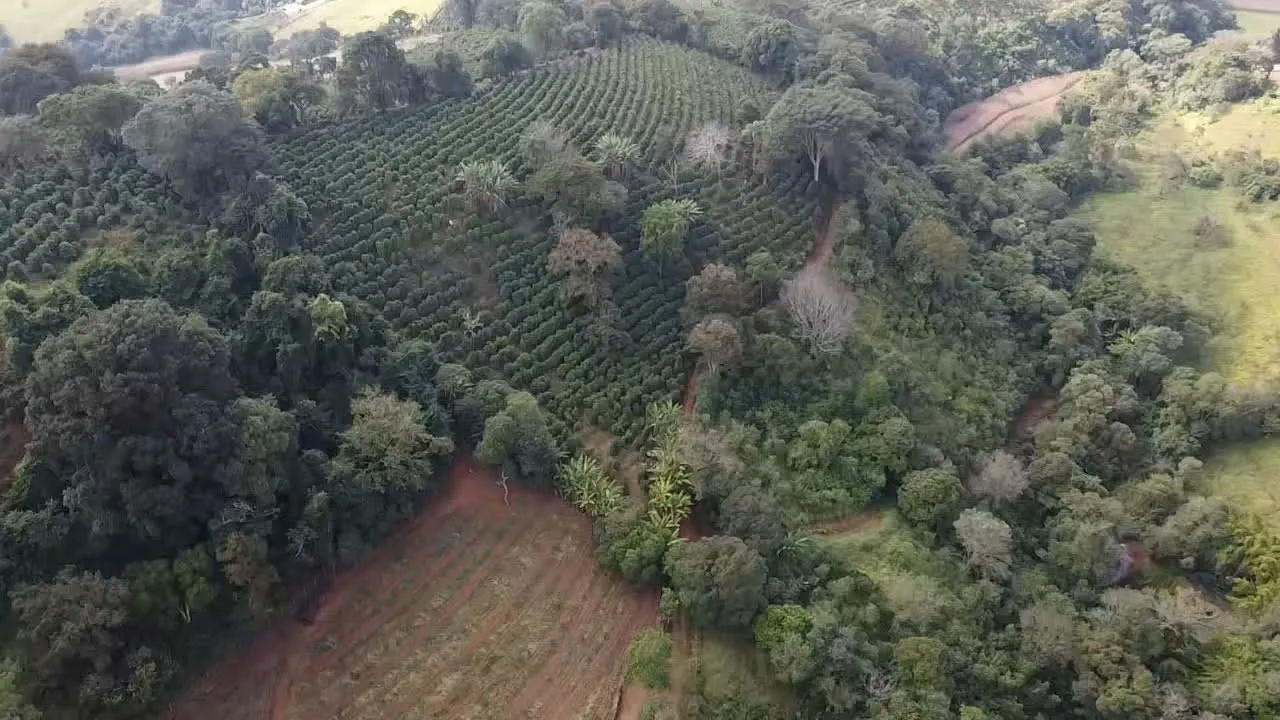 Imagem Sítio 3,63 ha à venda em Primos, Campestre
