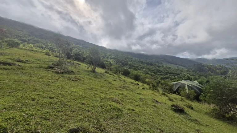 Imagem Terreno à Venda com Vista para o Mar e Lagoa do Macacu - 9,3 Hectares em Garopaba-SC!
