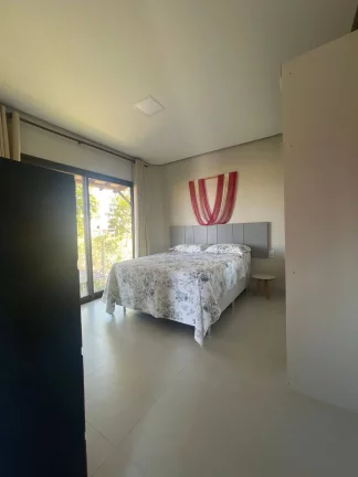 Imagem Casa Branca - Bromélias