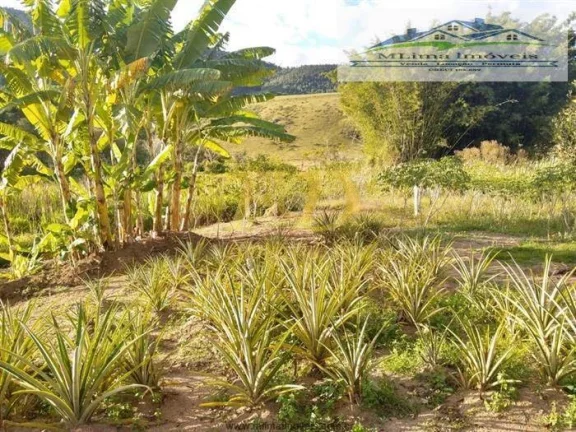 Imagem Sitio em Bragança Paulista
