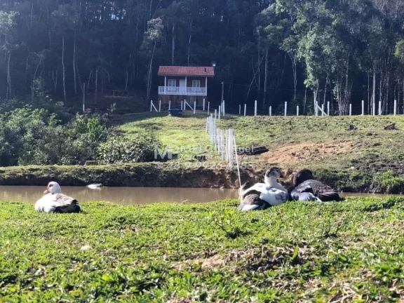 Imagem Propriedade rural de sítio e alto padrão com negócio de locação de cabanas. São 13 hectares escritura pública 05 cabanas 01 sede