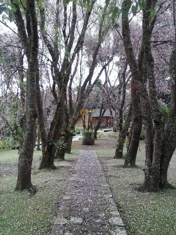 Imagem Sítio para Venda em Teresópolis / RJ no bairro Iucas