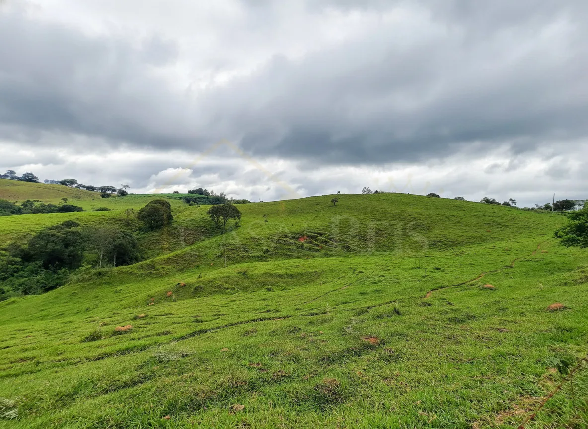 Imagem Sítio 65 m² à venda em Palmeiral, Botelhos