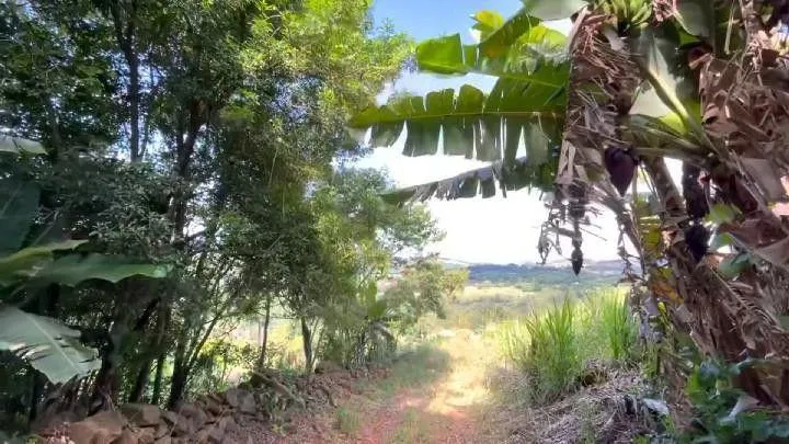 Imagem Chácara para Venda em Santo Antônio da Patrulha / RS no bairro Roça Grande