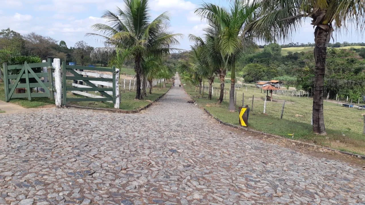 Imagem FAZENDA À VENDA - SÃO GONÇALO DO PARÁ 120 hectares de terra