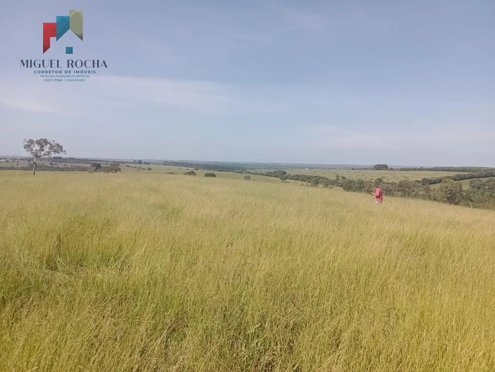 Imagem Fazenda Região Botucatu SP
