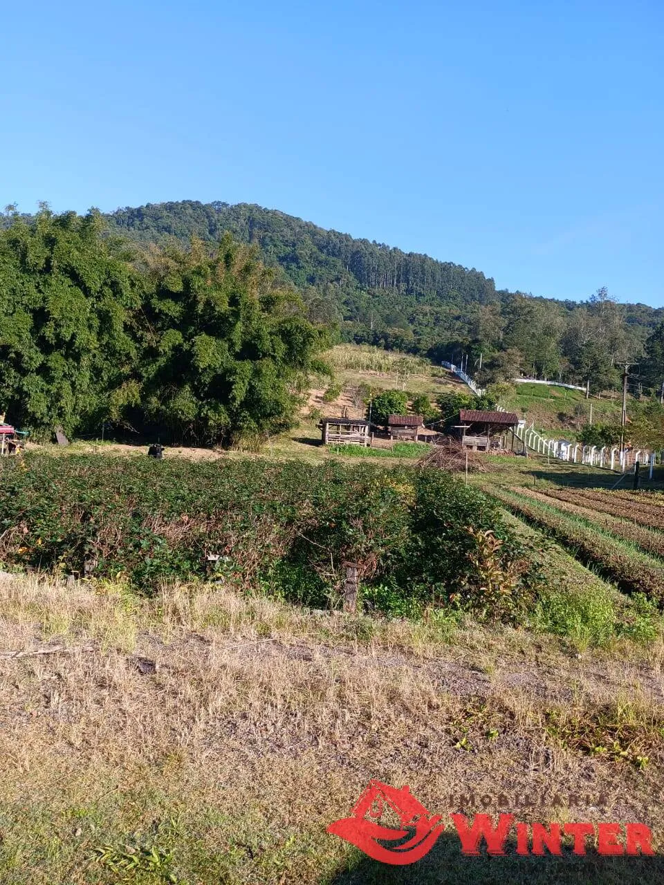 Imagem Área de Terra 21.600 m², Bom Fim, Feliz, RS.