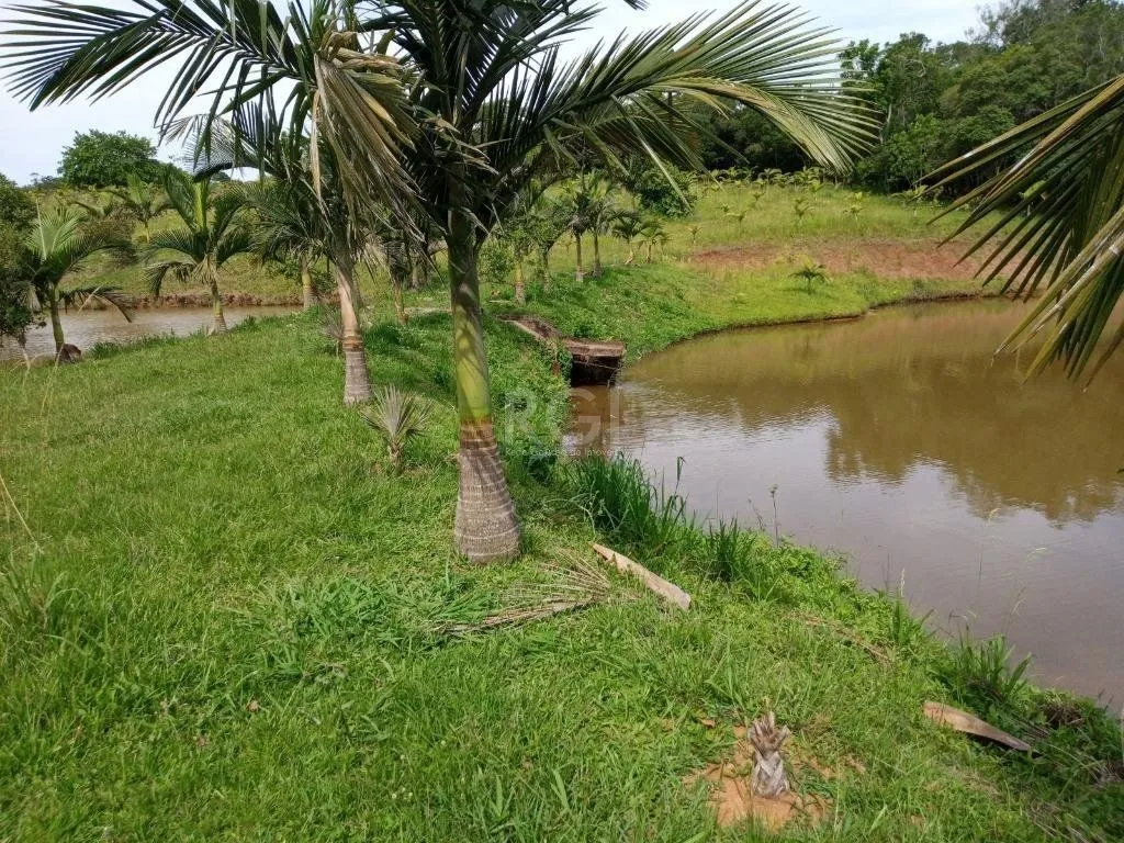 Imagem Boletto Imóveis vende Sitio na RS, Com 7 casas, 2 comerciais, excelente local para vários seguimento fácil acesso , rota para gramado, R$3.900,000,00