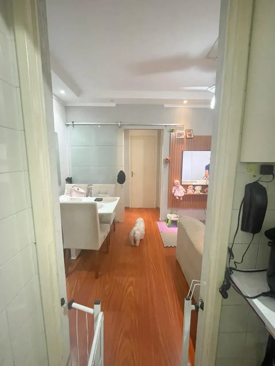 Imagem Apartamento com 2 Quartos à Venda, 51 m² em Independência - São Bernardo do Campo
