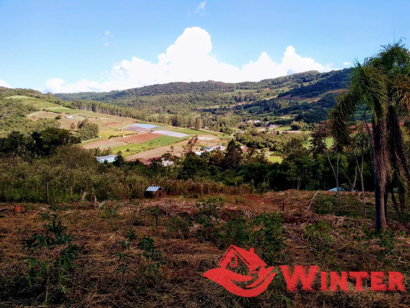 Foto do imóvel Área de terras de 35.000,00m² bairro São Roque, Feliz.