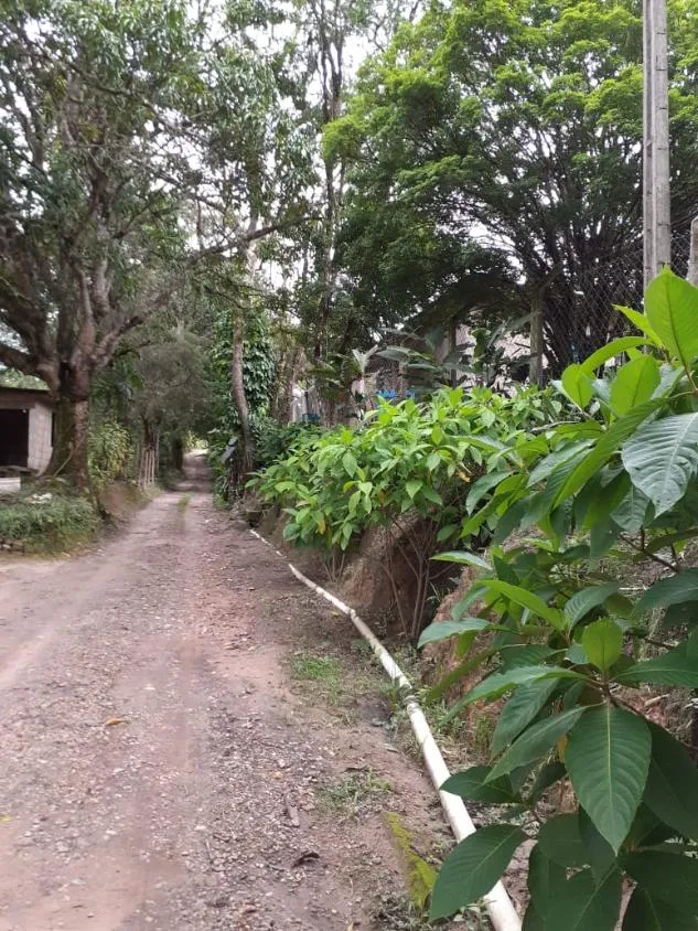 Imagem Sítio a venda de 8,6 hectares (86.000 m²) em Brumadinho/MG,
