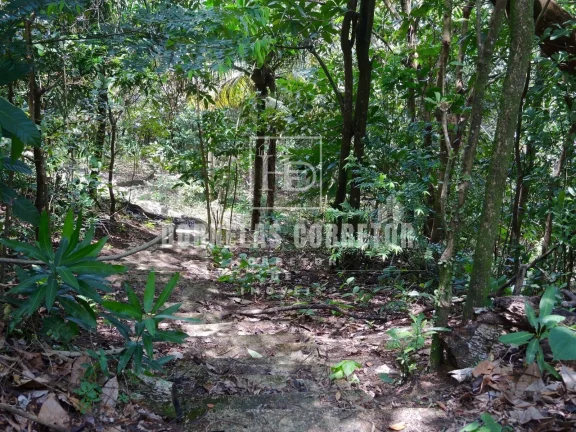 Imagem Sítio à Venda em Olinda/PE | 15 Mil m² com Estrutura Completa