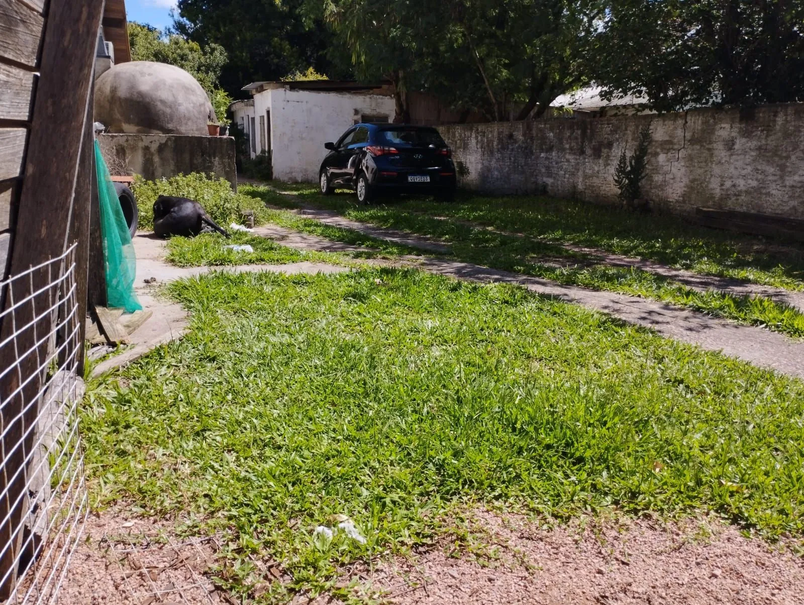 Imagem Terreno em Tristeza