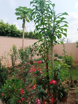 Imagem CASAA VENDA NA VILA ELMAZ