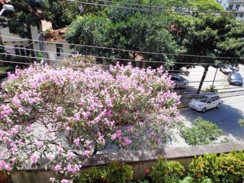 Imagem APARTAMENTO COM 4 DORMITÓRIOS À VENDA, 390 M POR R$ 5.000.000,00 - HIGIENÓPOLIS - SÃO PAULO/SP