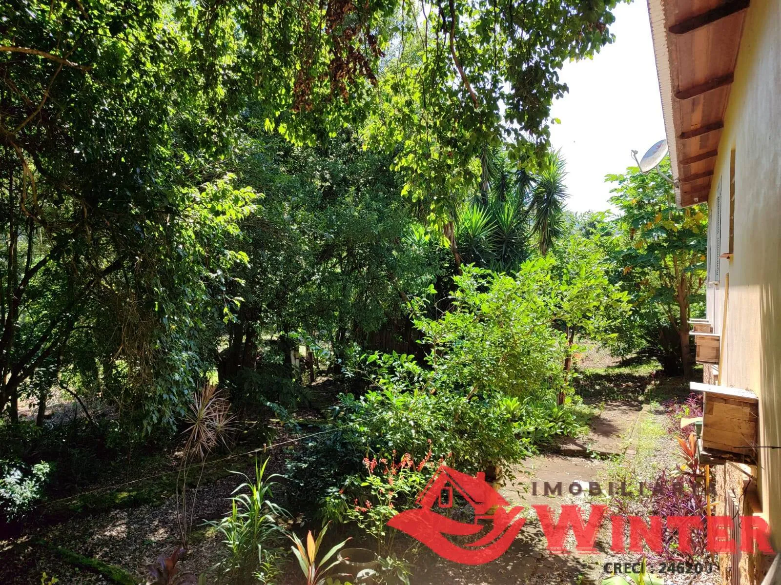 Imagem Área de terras com 7 hectares com casa e galpão em Vale do Lobo, Feliz.