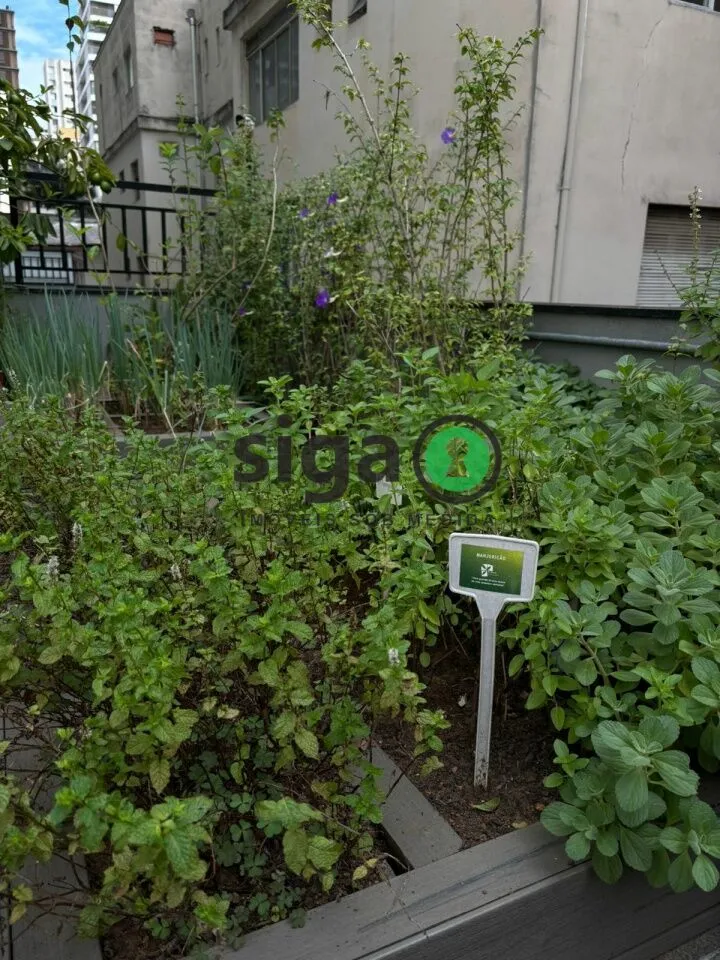 Imagem Apartamento para Locação Mobiliado - Pinheiros!