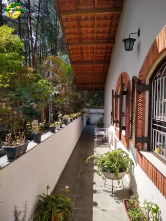 Imagem SOBRADO EM FRENTE A MATA DO HORTO FLORESTAL