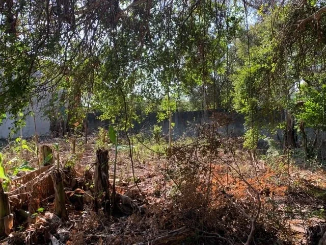 Imagem Terreno à venda Alto do Cardoso, Pindamonhangaba - SP