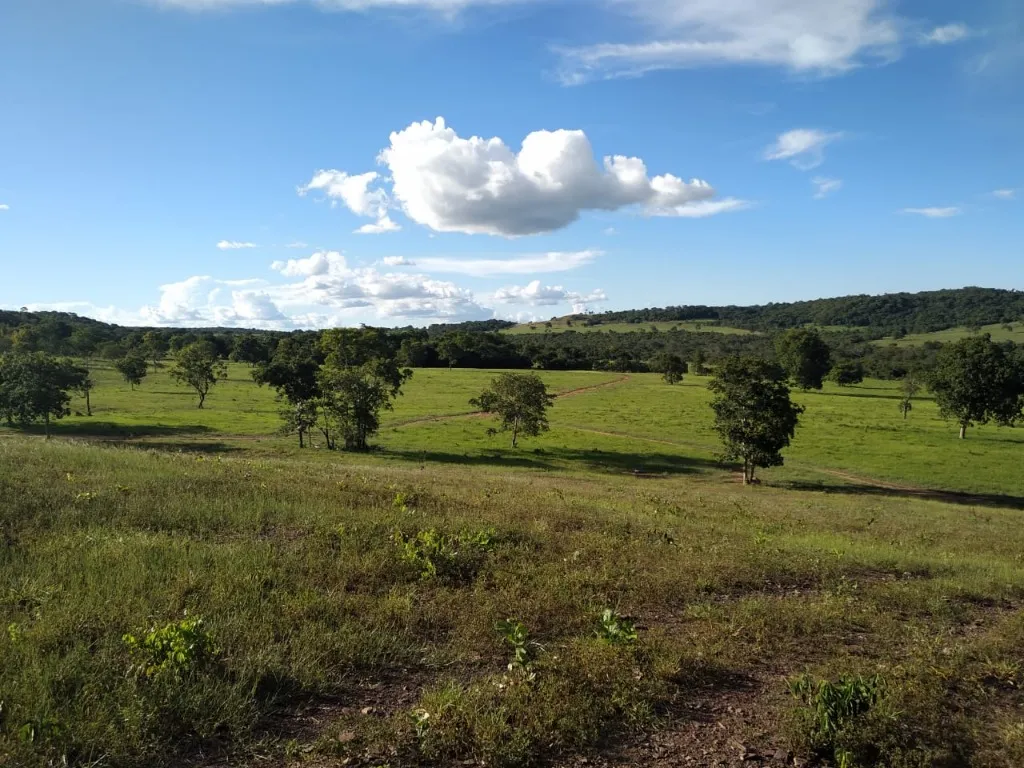 Imagem Fazenda de Rio Negro Mato Grosso do Sul-MS, Farms for sale in Brazil, farms in Brazil, Brazil farms