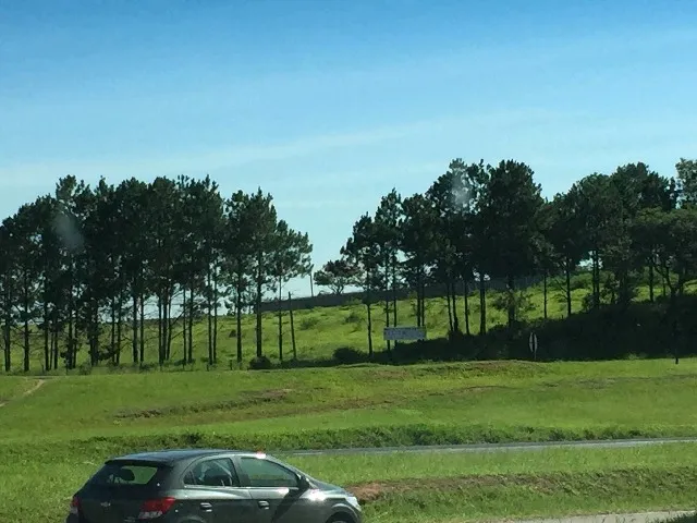 Imagem Área na Rodovia Castelo Branco Km 90,5, em frente a,Toyota. Terreno 10.900 m².