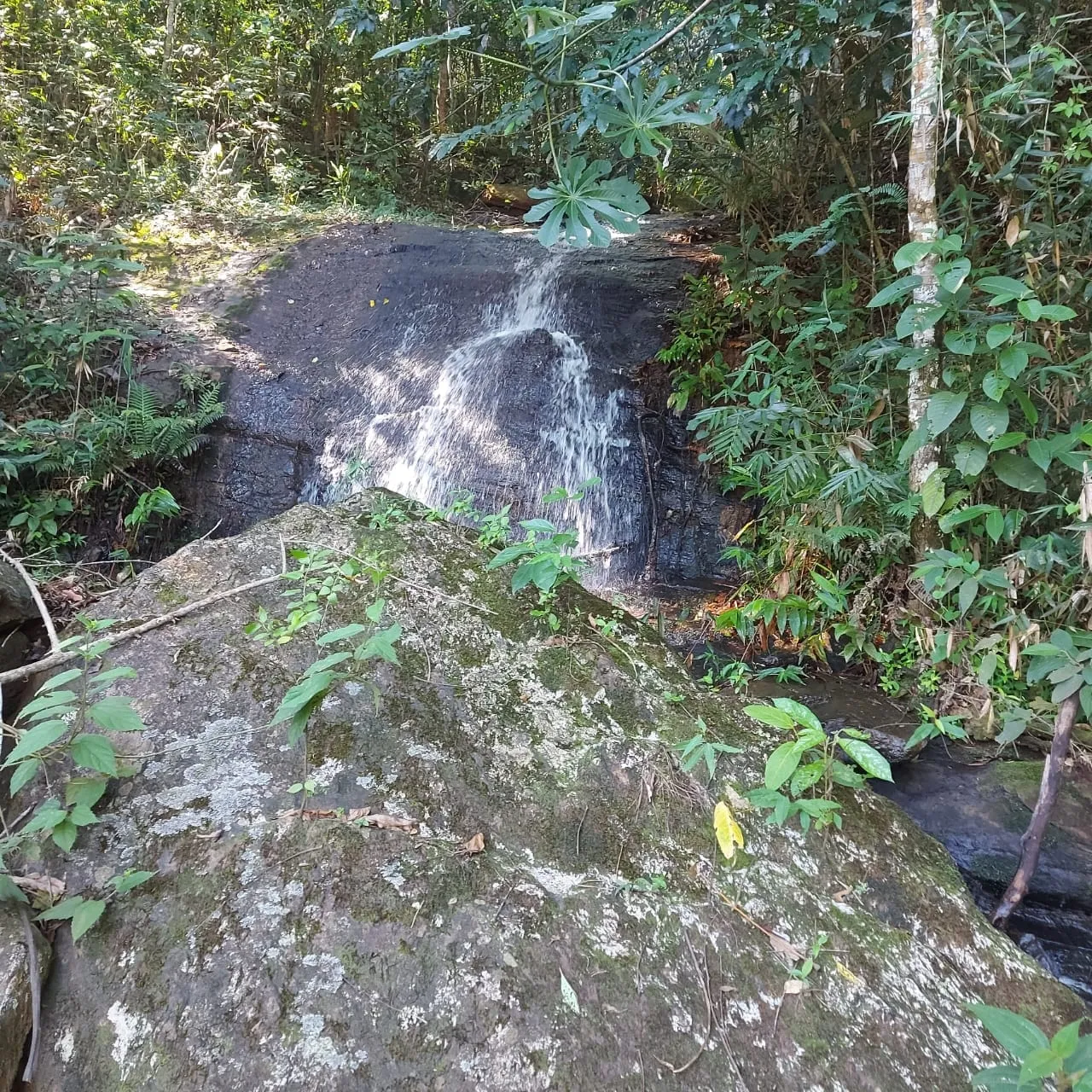 Imagem Chácara à venda 20000M², Mandú, Pindamonhangaba - SP