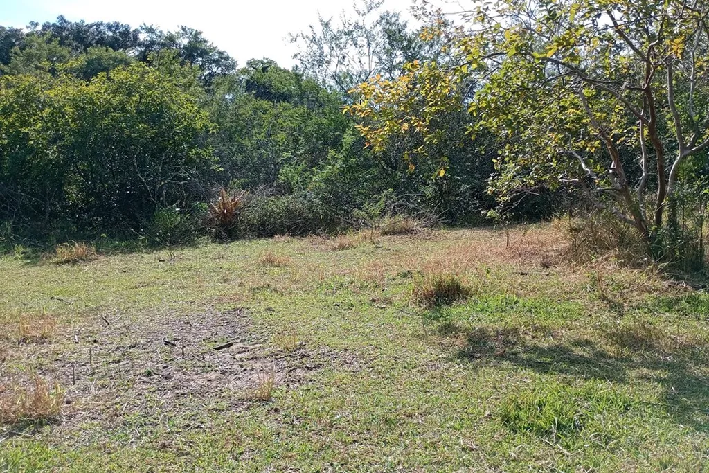 Imagem Fazenda em Belém Novo