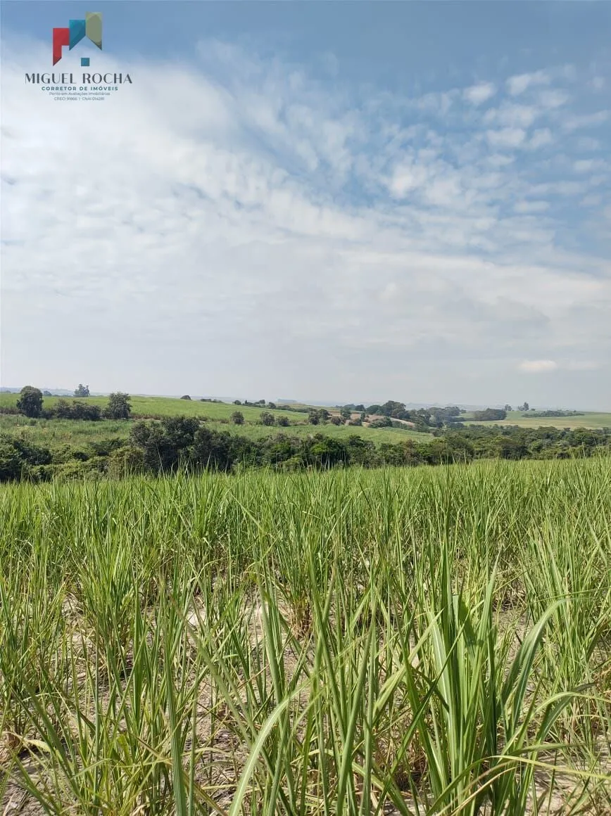 Imagem Sítio em Centro, Laranjal Paulista/SP