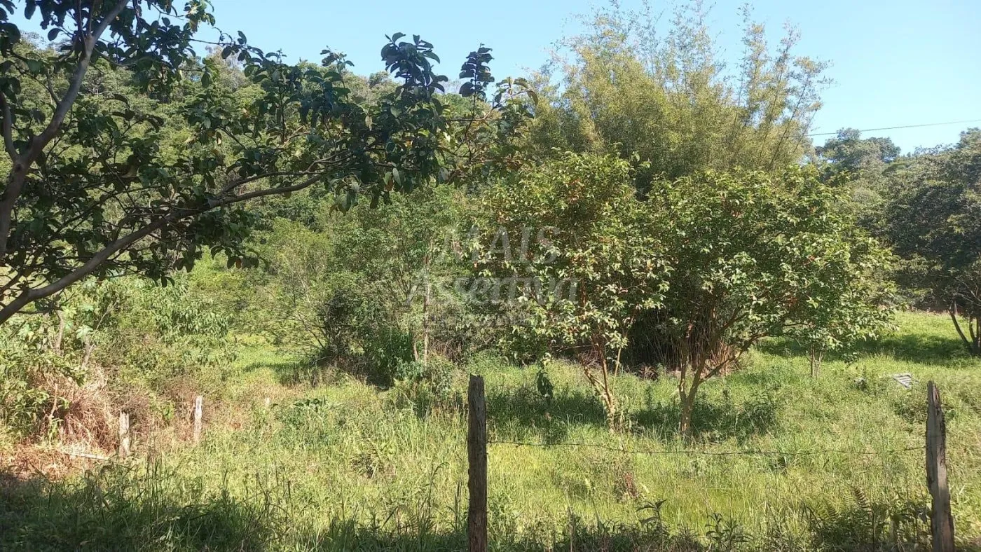 Imagem Excelente Chácara para Venda em Taquara Bairro Pega Fogo